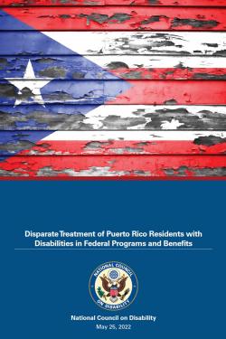 Report cover with weathered Puerto Rico flag over a blue background with NCD seal
